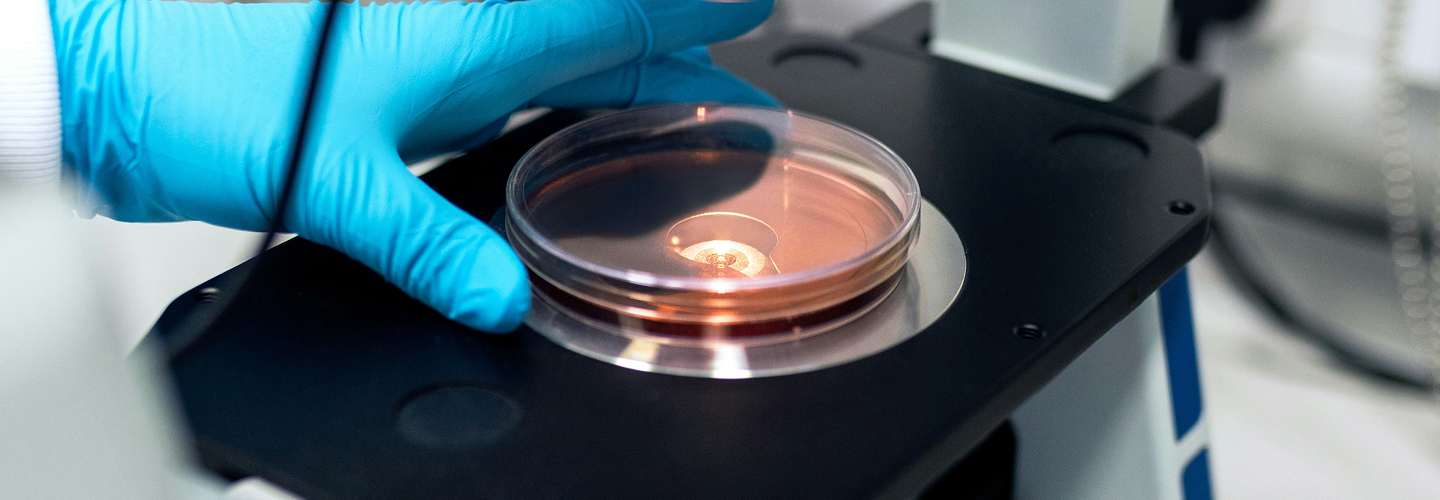 Dermascore – laboratoire