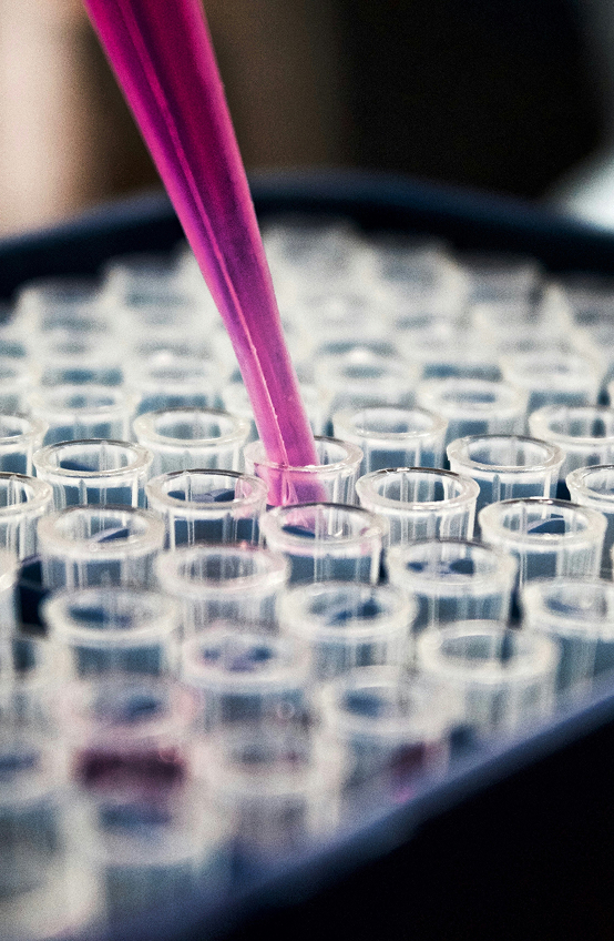 Dermascore – Perturbateurs endocriniens