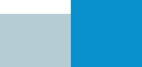 Dermascore – statistiques asset